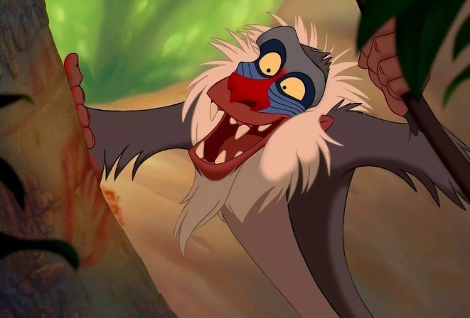 Rafiki