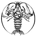z4 › Клубер — саморазвитие и личностный рост Z4