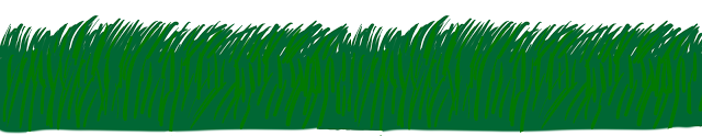 Green_grass_3
