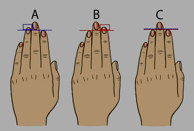 Узнайте характер по длине пальцев ›