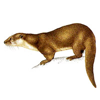 i1