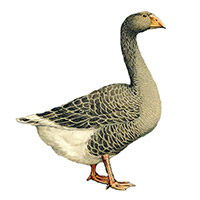 i12