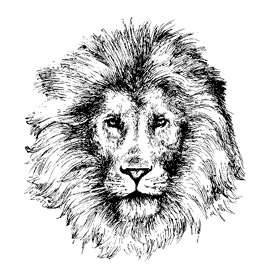 Какое животное соответствует типу твоего характера? › lion
