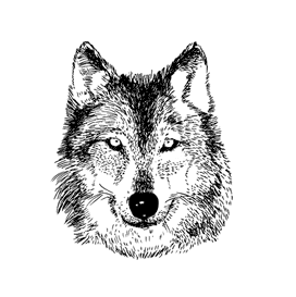Какое животное соответствует типу твоего характера? › wolf