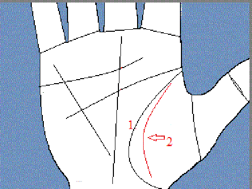 Линия ангела-хранителя на ладони: есть ли она у вас? › jcvoja