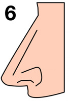 c3a9d1f4dda8854b31c05fe38891a370-550x800