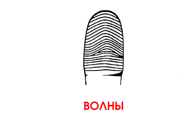 d6486085d55c5ebe271e90ec5fe9effc