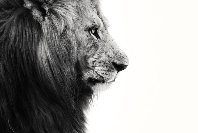 30 причин, почему никто не может жить без Львов ›