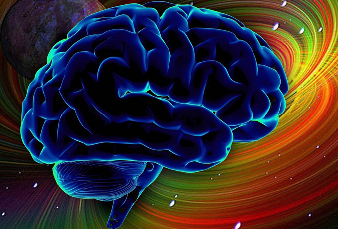 10 способов увеличить уровень допамина в мозге ›