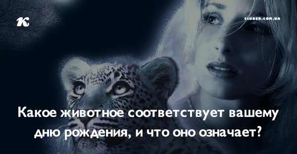 Красотой какого животного вы восхищаетесь 7. Открытка очень классно. Выразить восхищение картинкой. Открытки изумительно. Каких животных видишь на картинке.