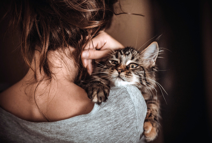Пустая квартира, коты и холодная постель: к чему приводит женское одиночество ›
