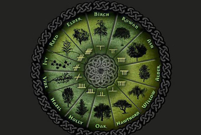 Кельтская астрология: знаки Зодиака и их значение ›