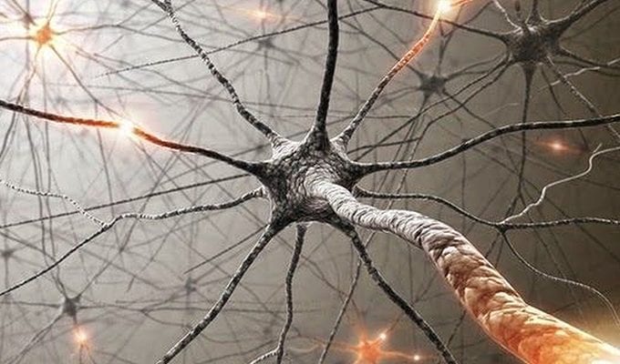 Научите мозг отказываться от дурных привычек: 10 способов создания новых нейронных связей ›