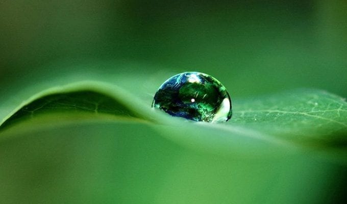 3 урока из даосской философии воды ›
