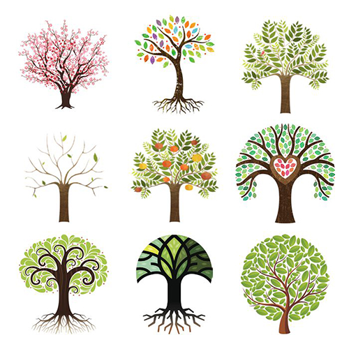 Психологи считают, что выбор дерева расскажет о вашей доминирующей черте личности