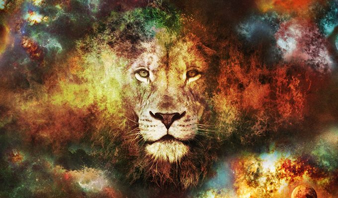 12 причин, почему Лев – самый лучший знак Зодиака ›