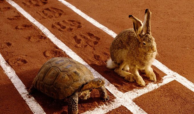 Мышление черепахи: как побеждать в жизненной гонке, двигаясь медленно и терпеливо ›