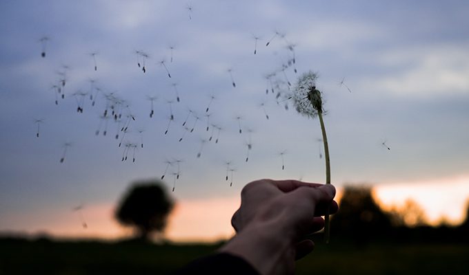 Прошлое формирует вас, но не позволяйте ему еще и определять вас ›