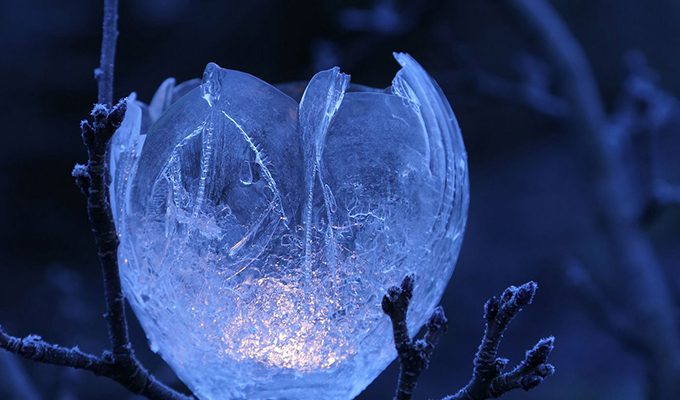 23. 12. 2022: Новолуние решительных действий и светлых перемен ›