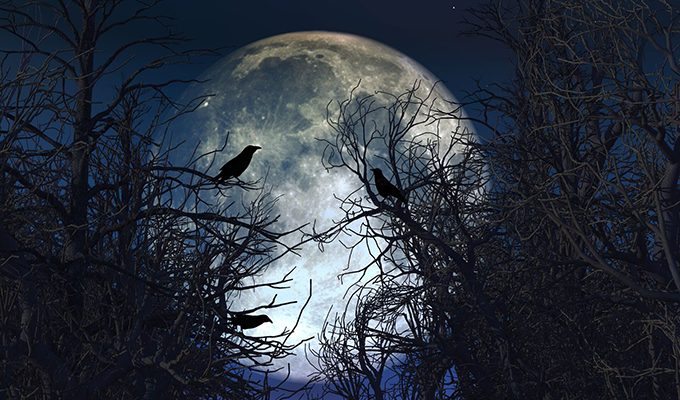 5 самых опасных дней декабря — по лунному календарю ›